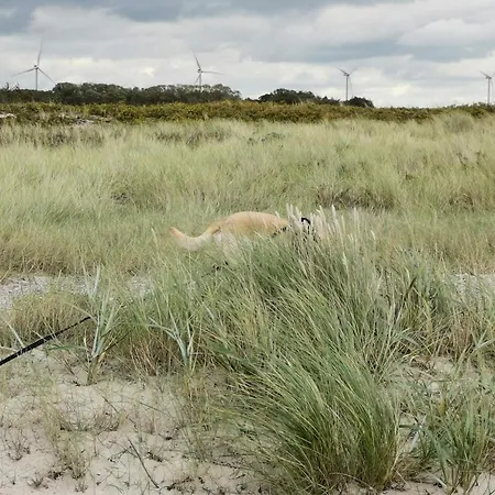 بيت للعطل 8 Person In