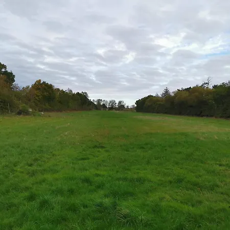 بيت للعطل 8 Person In *