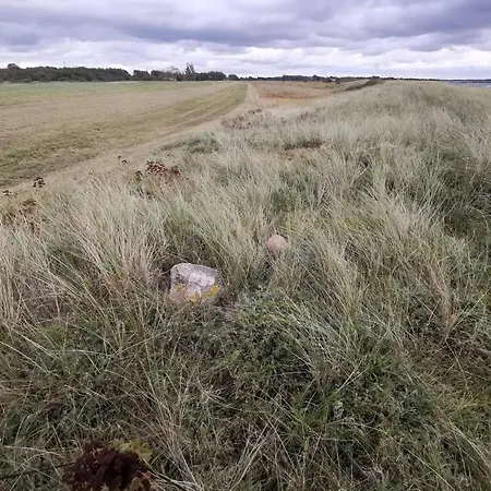 8 Person In * Dannemare