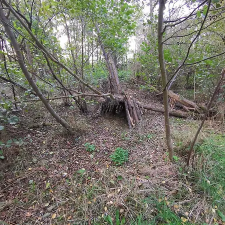 بيت للعطل 8 Person In *