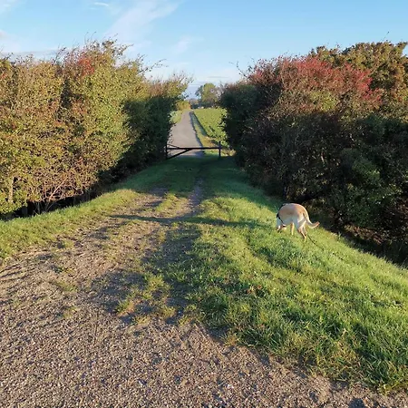 8 Person In بيت للعطل