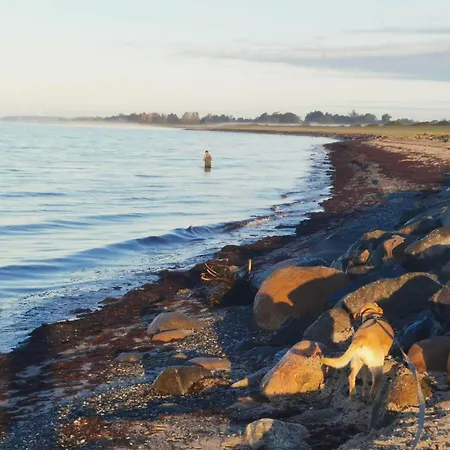 بيت للعطل 8 Person In *