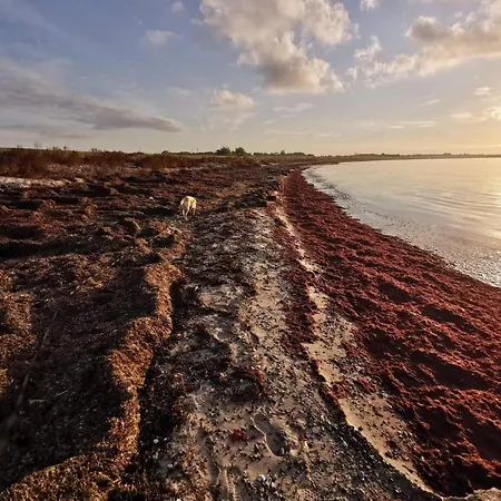 بيت للعطل 8 Person In