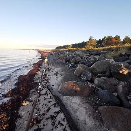 8 Person In * Dannemare